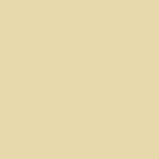 Rovers motors Enfield colour tan